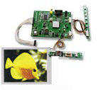 AMP Display Solutions